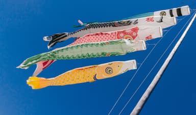 Kodomo no Hi (こどもの日): The Meaning and Traditions of Japan’s Children’s Day