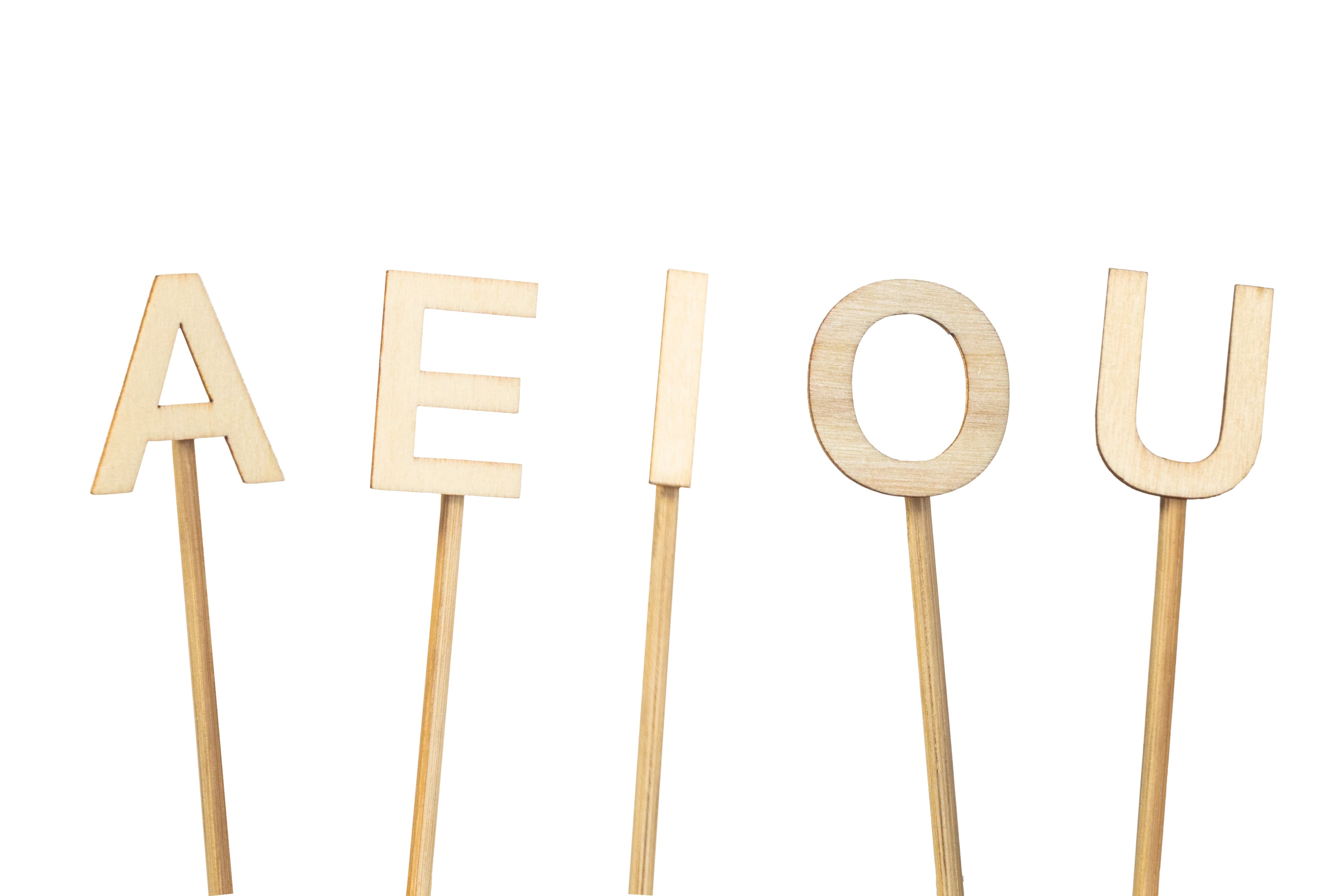 Master Japanese Vowels| Pronunciation Tips for English Speakers