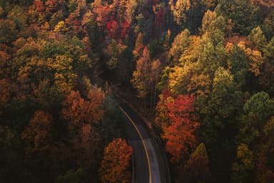 Autumn in Japan — Fall Foliage, Harvest Traditions, and Cultural Events